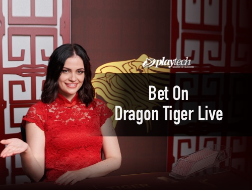 netbet sport